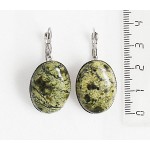 Серьги из змеевика, овал 25х18мм, замок петелька