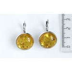 Cерьги из янтаря (переплавленый), цвет желтый, круг 18мм