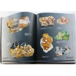 Книга "Баженовское месторождение"