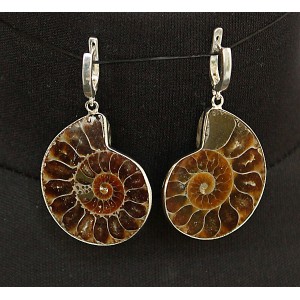 Серьги из аммонита, раковина в разрезе, швензы посеребрение Серьги из аммонита, раковина в разрезе, швензы посеребрение